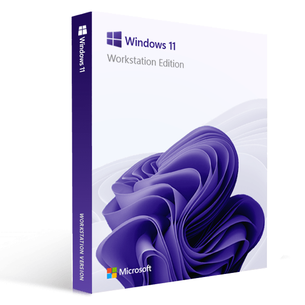 Windows 11 Professional Workstation Digital License